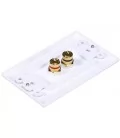 Airbase Wall Plate 1 Speaker