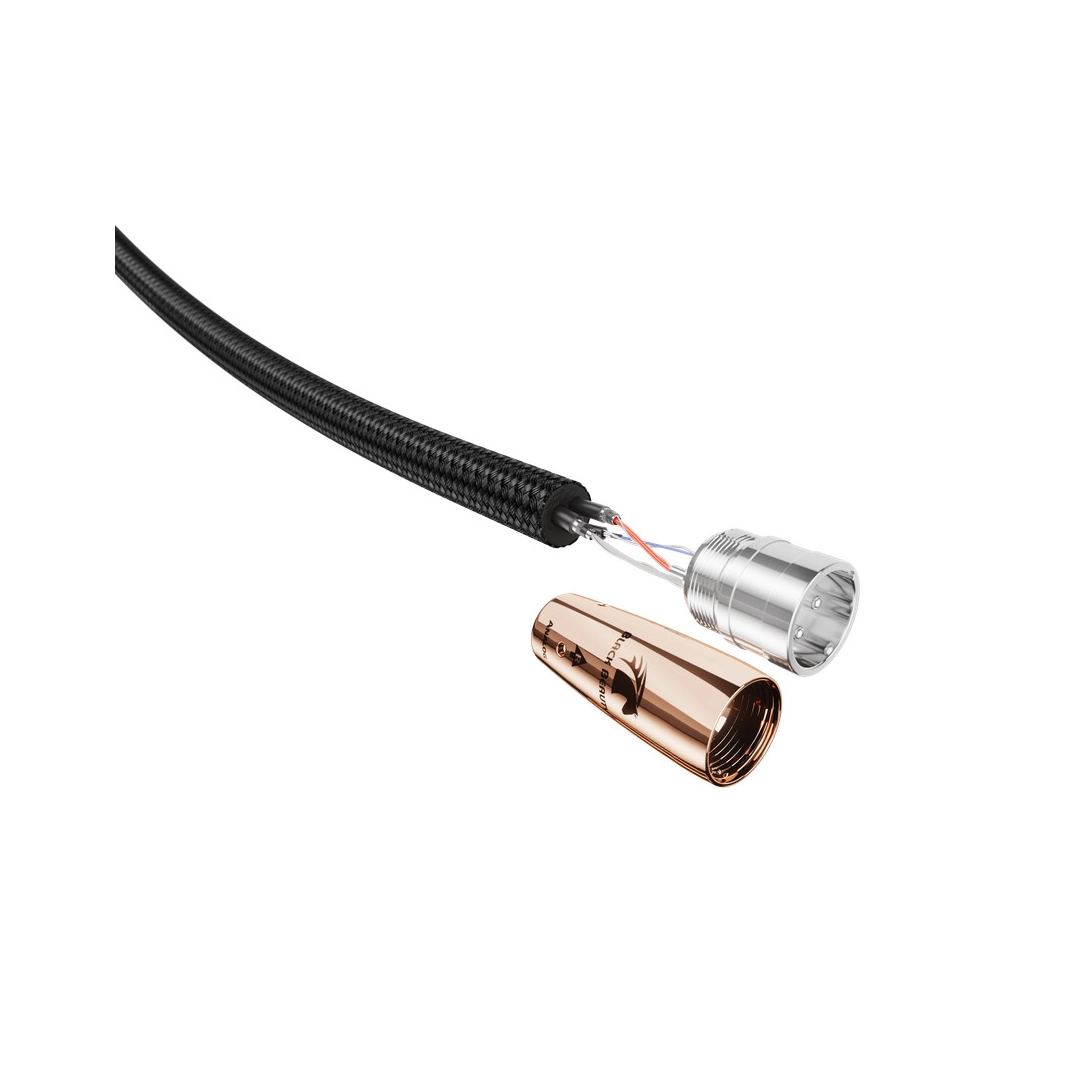 Кабель Audioquest Pair 1.0m BLACK BEAUTY XLR Кабель Audioquest Pair 1.0m BLACK BEAUTY XLR