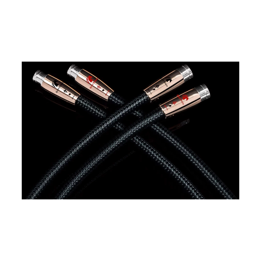 Кабель Audioquest Pair 1.0m BLACK BEAUTY XLR Кабель Audioquest Pair 1.0m BLACK BEAUTY XLR