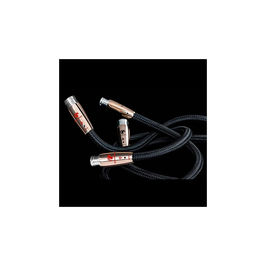 Кабель Audioquest Pair 1.0m BLACK BEAUTY XLR Кабель Audioquest Pair 1.0m BLACK BEAUTY XLR