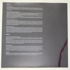 Вінілова платівка LP2 Charli Xcx: Charli