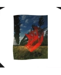 Vinyl record I-DI LP Pink Floyd: Wish You Were Here