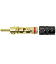 GLS AUDIO BL20 GLS AUDIO BL20