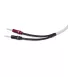 Акустичний кабель Chord C-screenX CUSTOM Speaker Cable 2.5 m pair