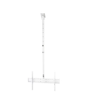 TV ceiling bracket Sector CM-0604T White tilted, 37" to 70", (max VESA 600x400 mm)