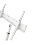 TV ceiling bracket Sector CM-0604T White tilted, 37" to 70", (max VESA 600x400 mm)