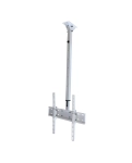 TV ceiling bracket Sector CM-0604T White tilted, 37" to 70", (max VESA 600x400 mm)