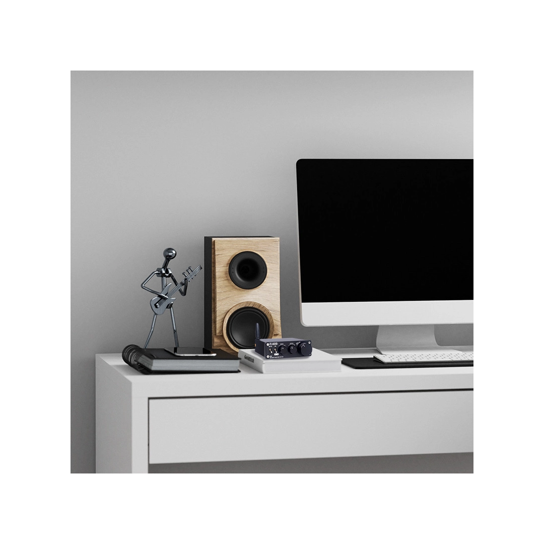 Підсилювач потужності FX-Audio XL01