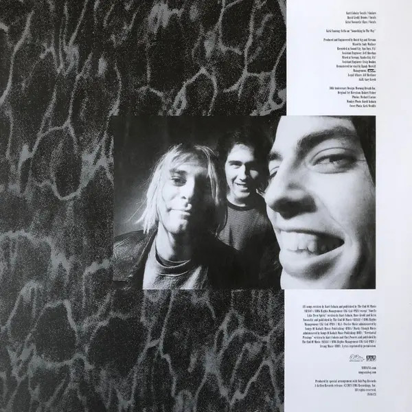 Виниловая пластинка 2LP Nirvana: Nevermind - Ltd Edt