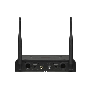 Радіосистема DV audio PGX-224 MKII з двома ручними мікрофонами у пластиковому корпусі