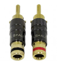 GLS AUDIO BL20 GLS AUDIO BL20