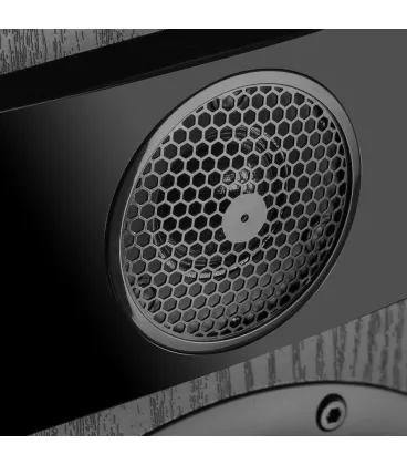 Полочна акустика Fyne Audio F300 Black Ash