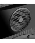 Полочна акустика Fyne Audio F300 Black Ash