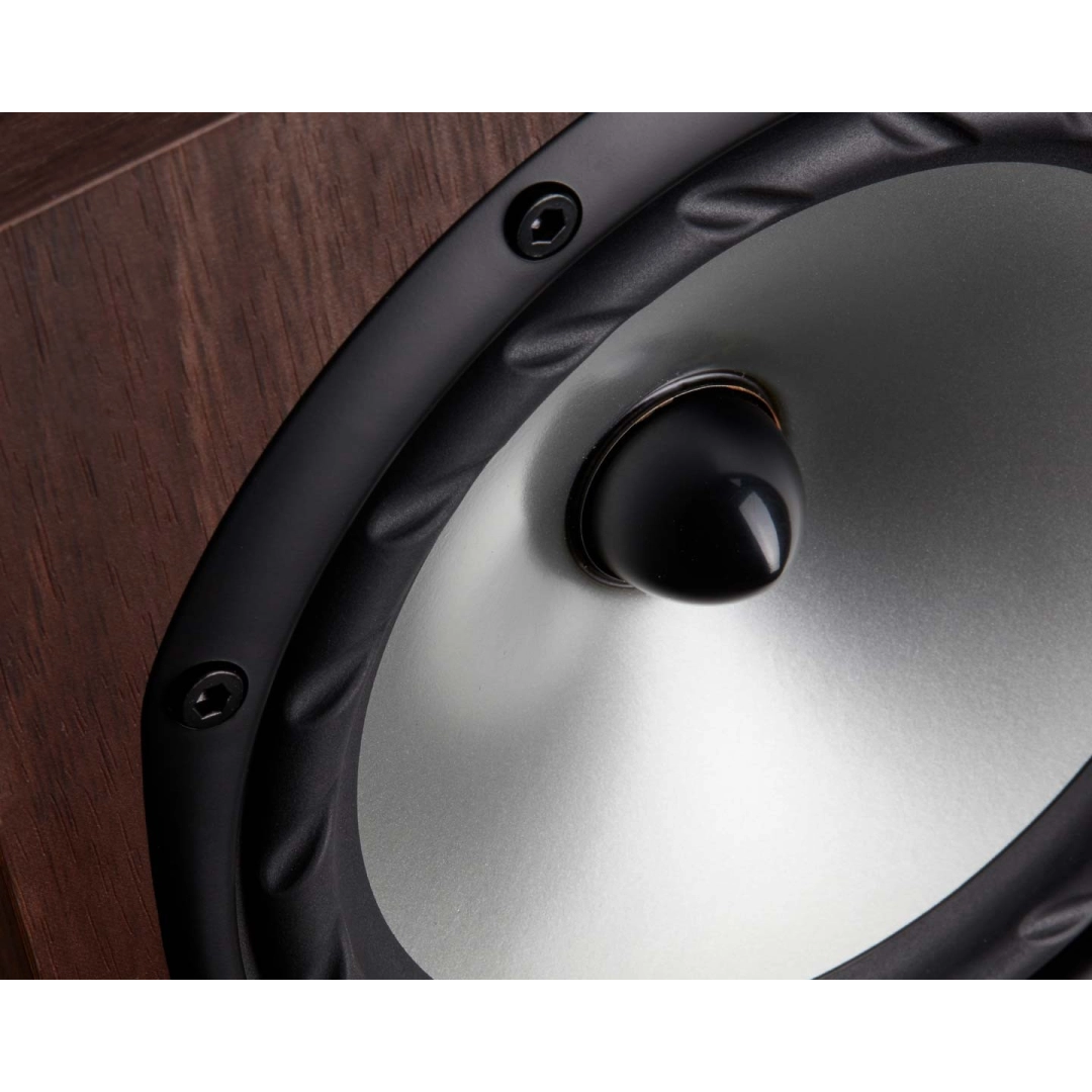 Полочна акустика Fyne Audio F300i Walnut