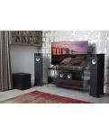 Підлогова акустика Fyne Audio F302 Black Ash