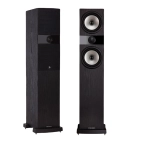 Підлогова акустика Fyne Audio F303 Black Ash Підлогова акустика Fyne Audio F303 Black Ash