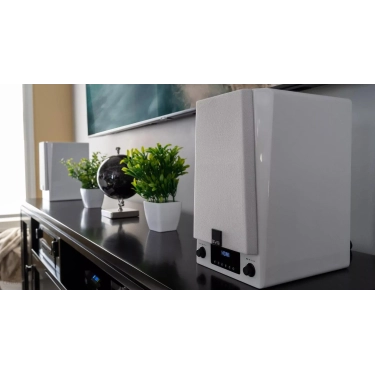 Активна акустика SVS Prime Wireless Pro Speaker White Gloss