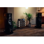 Моноблочний підсилювач потужності Naim NAP 350