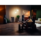 Мережевий програвач Naim NSS 333