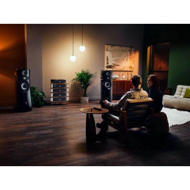 Мережевий програвач Naim NSS 333