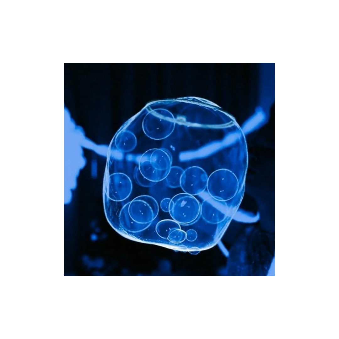 Розчин для неонового шоу мильних бульбашок GIG BUBBLES PRO 5 л.