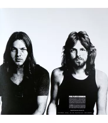 Вінілова платівка Pink Floyd – Meddle