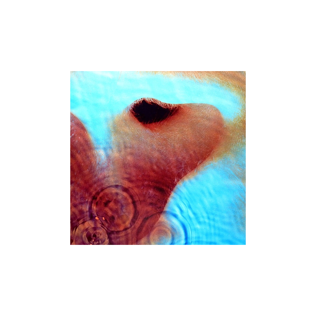 Vinyl record Pink Floyd – Meddle