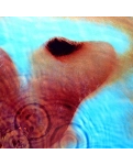 Vinyl record Pink Floyd – Meddle
