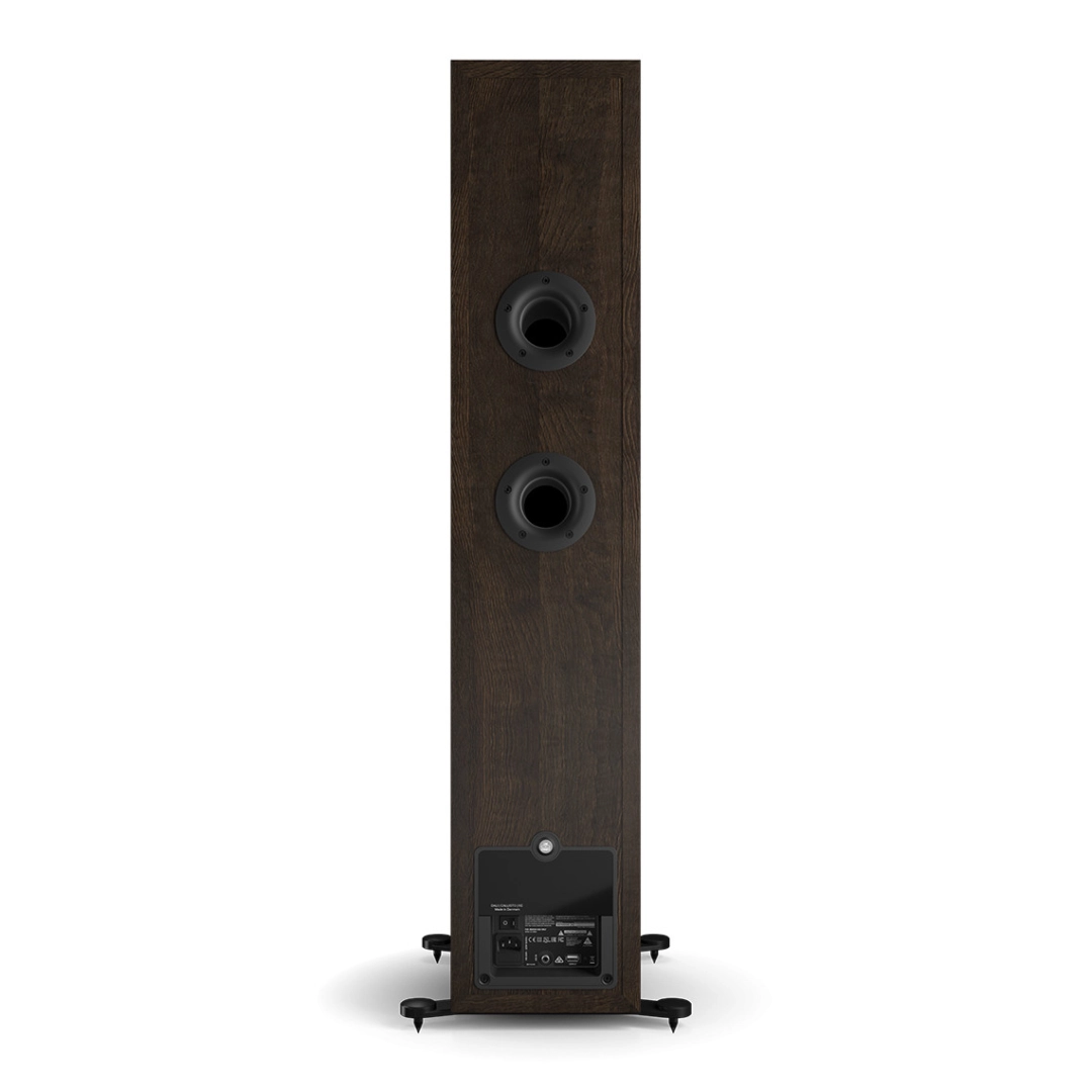 Бездротова активна акустична система DALI Callisto 6 C Tobacco Oak