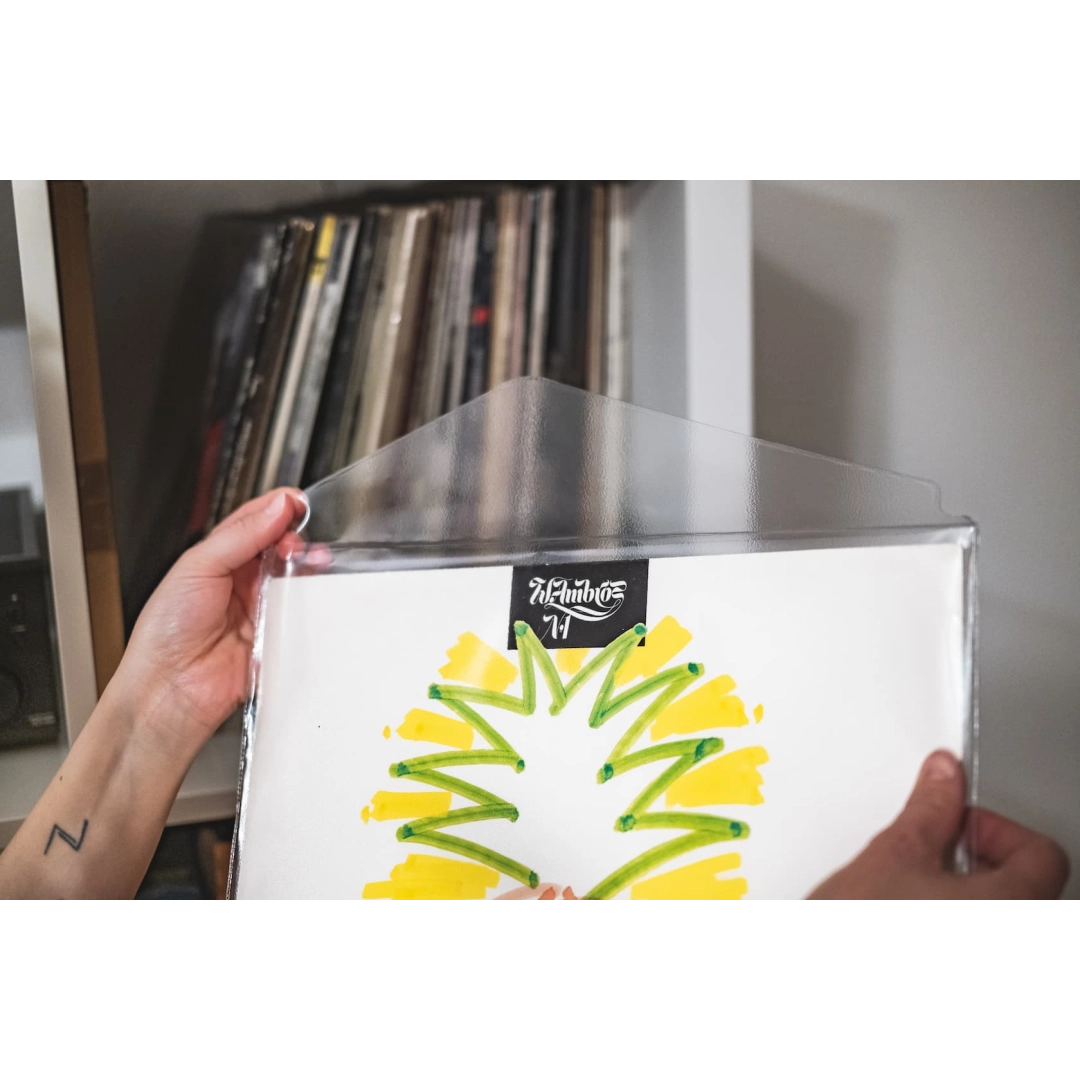 Зовнішні конверти Audio Anatomy 25 X 12" PVC With Flap Outer Sleeves 100 Micron Зовнішні конверти Audio Anatomy 25 X 12" PVC With Flap Outer Sleeves 100 Micron