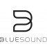 Bluesound